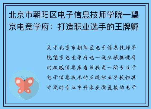 北京市朝阳区电子信息技师学院—望京电竞学府：打造职业选手的王牌孵化基地