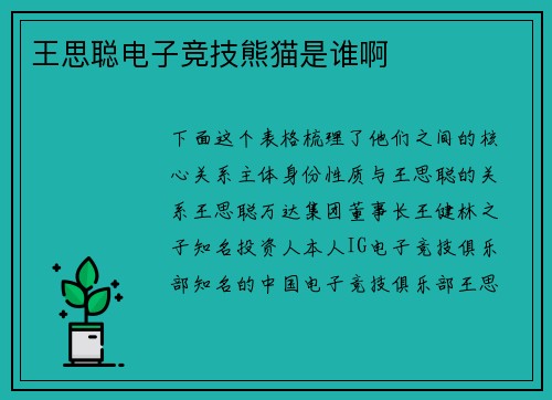 王思聪电子竞技熊猫是谁啊